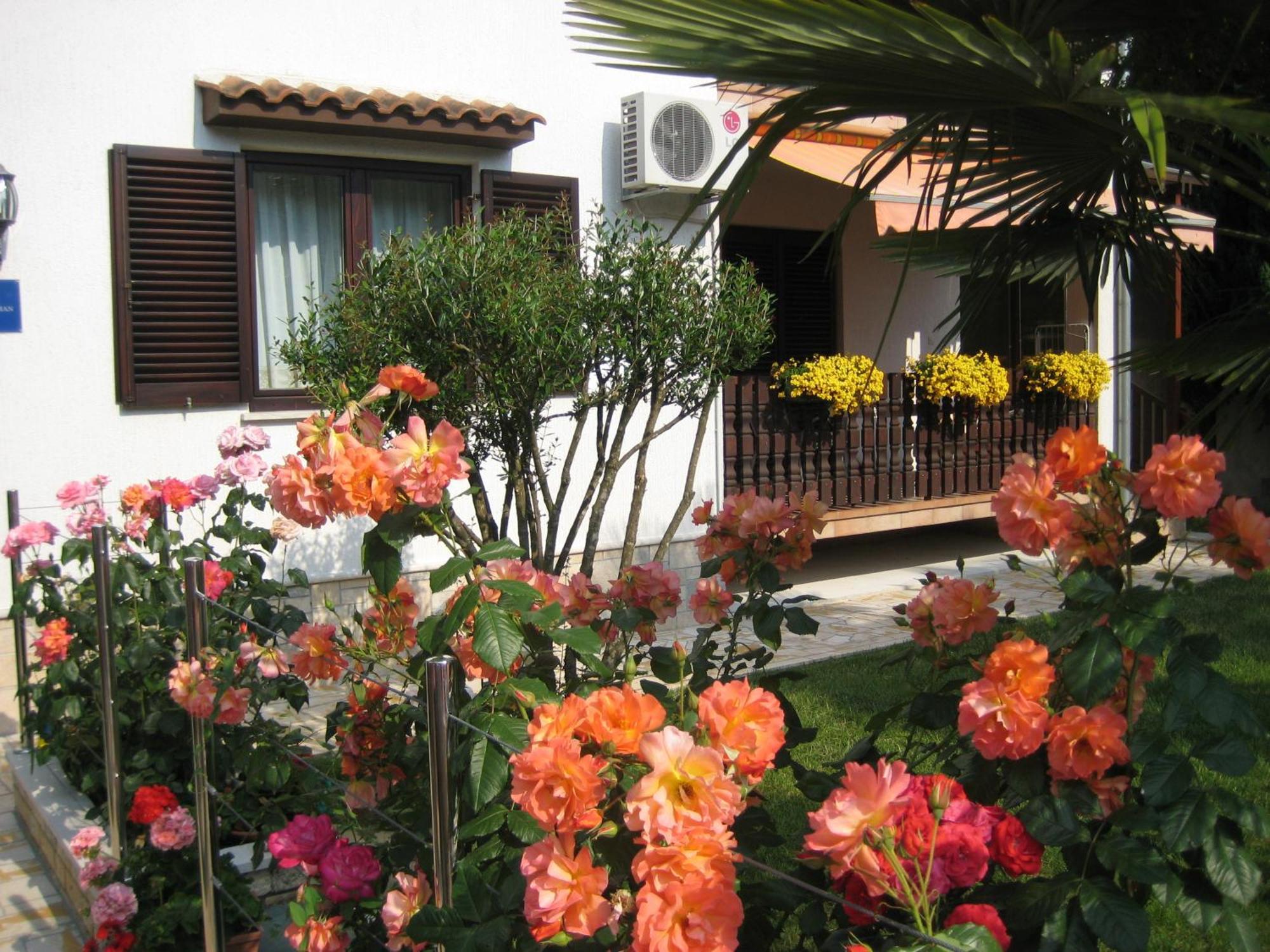 Funtana Apartments Budinjas Exterior photo